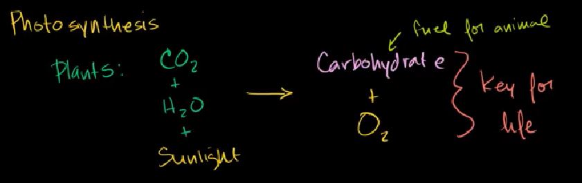 CO2 + H2O --> Glucose + O2
Glucose is a carbohydrate and, along with oxygen, is key for most life